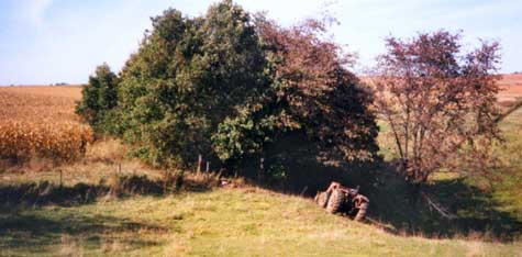 Photo 2 – Long shot of the entire scene, showing the slope of the pasture and the up-righted tractor.