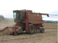 Photo 1. Combine in field (file photo)