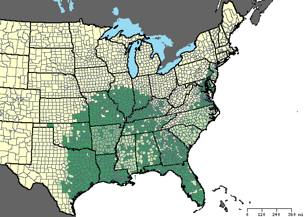 Range Map for Southern leopard frog (Rana sphenocephala)