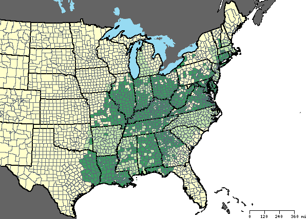 Range Map for Fowler's toad (Bufo fowleri)