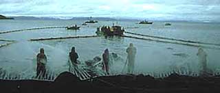 People standing near hot-water spray with ships and boom in background