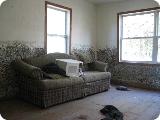 Living room mold
