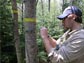 Photo of Michael Loranty wiring one of many sap flow sensors in the aspen stand.