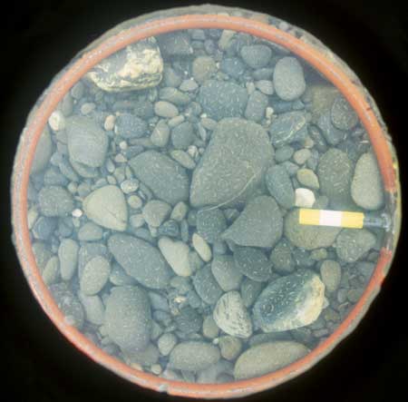 Sample of bed sediment