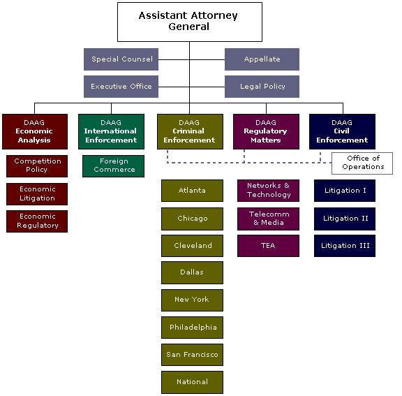 Division Organization Chart