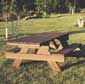 picnic table-North Dakota