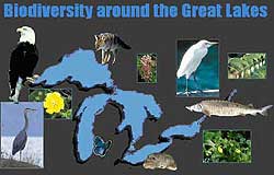 screenshot from Biodiversity Around the Great Lakes