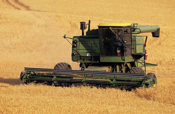 Picture of a combine mowing wheat in Eastern Washington.