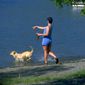 dog playing in lake--Montana
