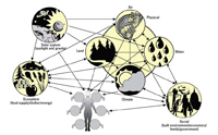 Click image for larger view. Used with permission from:  Julie Gohlke and Christopher Porteir “The Forest for the Trees: A Systems Approach to Human Health Research” Environmental Health Perspectives Vol. 115 No. 8: 1261-1263.  SOURCE: http://www.ehponline.org/members/2007/10373/10373.html 