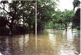 Flooding at Gate 16 at Rice university following Tropical Storm Allison