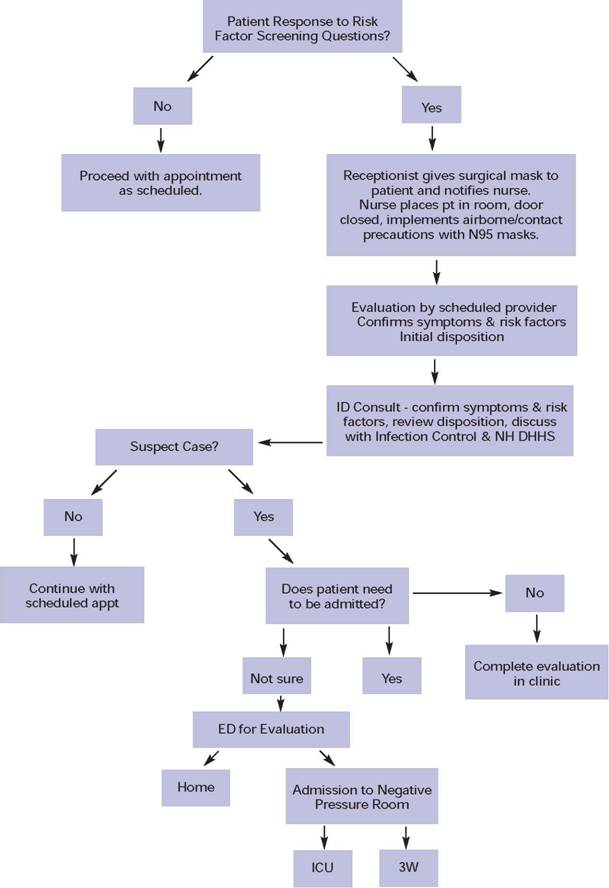 Appendix 1 Epidemic Respiratory Infections Patient Flow