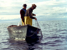 Fishermen in a marine protected area