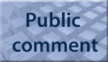 Public Comment page