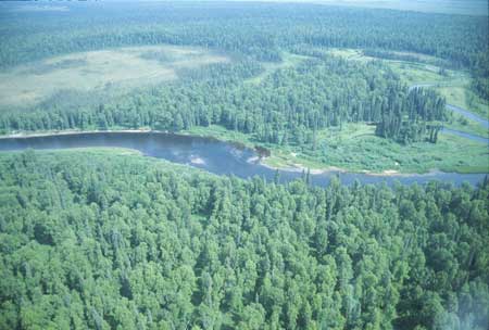 Deshka River near Willow (15294100)