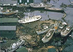 Tsunami damage to boats
