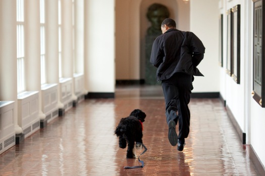 Bo and the President run through the halls