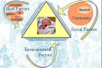 Duke Project Triangle Diagram