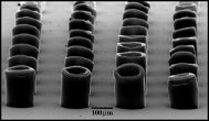 CVD-grown carbon nanotube SEM Images, courtesy NASA
