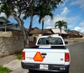 Photo of a botanical survey truck used in a roadside survey across the island of O'ahu.