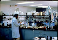 scientist working at lab bench