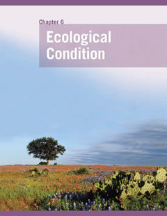 Cover from the ROE Chapter on Ecological Condition