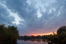 Sunset behind trees and lake