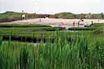 Photo of a marsh and beach