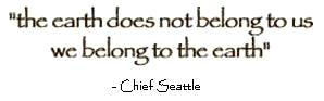 Quote from Chief Seattle, -the earth does not belong to us, we belong to the earth 