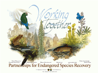 image from the poster, WORKING TOGETHER - PARTNERSHIPS FOR ENDANGERED SPECIES RECOVERY