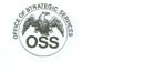 OSS Logo