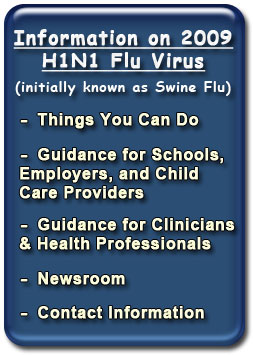 Information on H1N1 Flu Virus