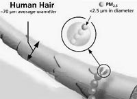 drawing comparing one pm2.5 particle to the width of a human hair