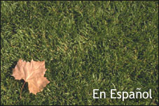 En Español - Copyright WARNING: Not all materials on this Web site were created by the federal government. Some content — including both images and text — may be the copyrighted property of others and used by the DOL under a license. Such content generally is accompanied by a copyright notice. It is your responsibility to obtain any necessary permission from the owner's of such material prior to making use of it. You may contact the DOL for details on specific content, but we cannot guarantee the copyright status of such items. Please consult the U.S. Copyright Office at the Library of Congress — http://www.copyright.gov — to search for copyrighted materials.