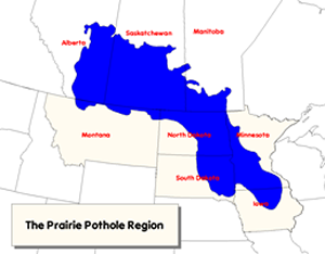 prairie pothole region