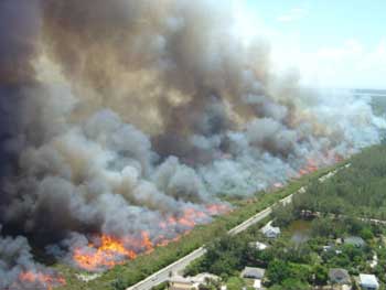  A prescribed burn at Merritt Island NWR reduces hazardous fuels in the wildland-urban interface. (USFWS)