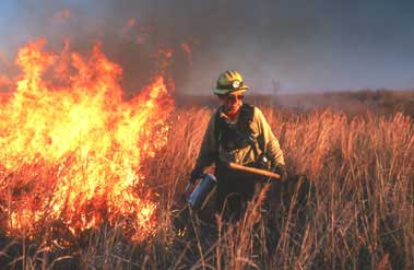 Service firefighters have expertise in bothfire suppression