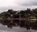 Photo of river dwellings on the Iriri River in the Brazilian Amazon.