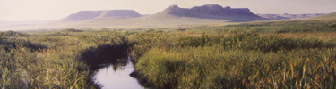 Niobrara River and bluffs