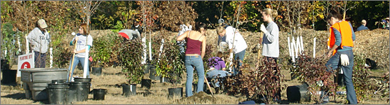 Volunteers at the Brooklyn Park Riverside Park restoration event.