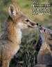 Endangered Species Bulletins Cover Page