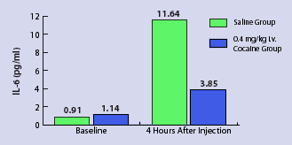 Cocaine Use May Increase Infection Risk