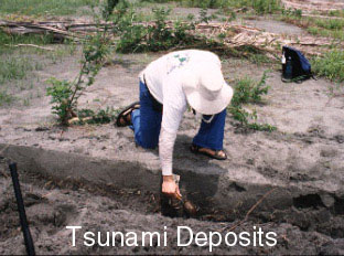 Field Study of Tsunami Deposits