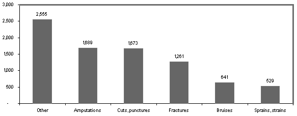 Exhibit 10: Punch Press Injuries by Nature Based on BLS Injury Data, 1992 - 1999