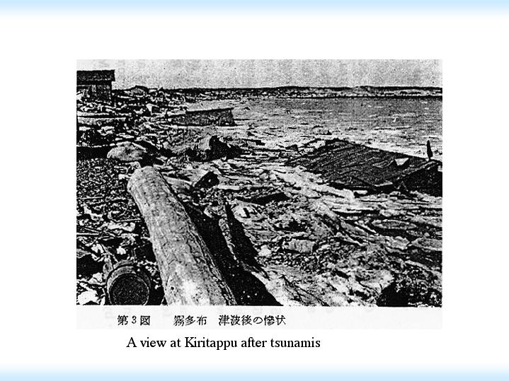 tsunami damage