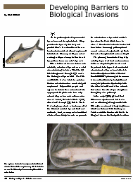 thumbnail image of invasive species article from endangered species bulletin