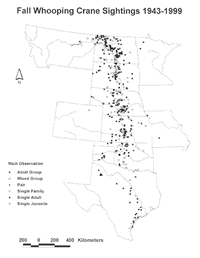 Confirmed Fall Whooping Crane Sightings 1943-1999 -  credit Jane Austin, USGS