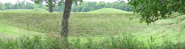 One of eight borrow pits at the Mound City Group.