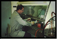 cell culture photo
