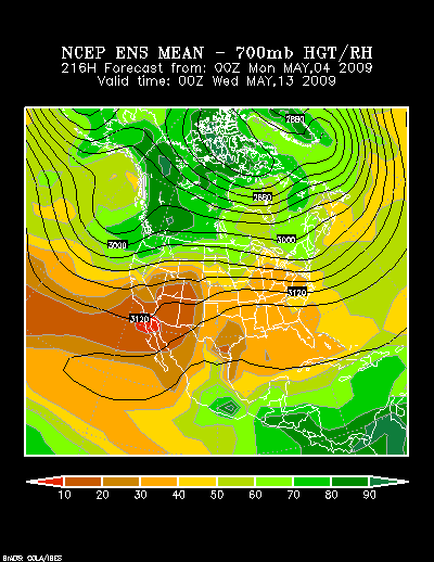 NCEP Ensemble forecast product